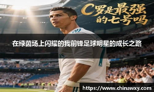 在绿茵场上闪耀的我前锋足球明星的成长之路
